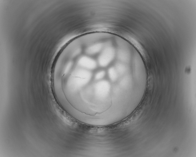 X0000091581051200709101014