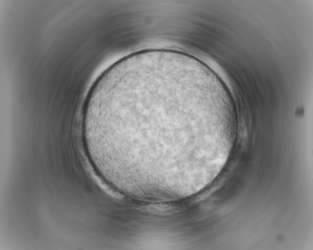 X0000091581053200709101014