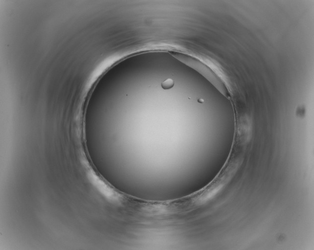 X0000091581054200709101014