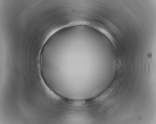 X0000091581055200709101014