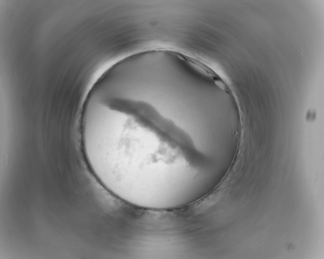 X0000091581056200709101014