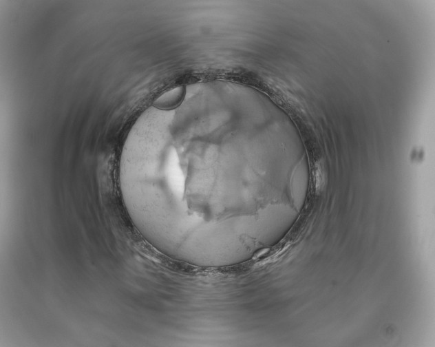 X0000091581059200709101014