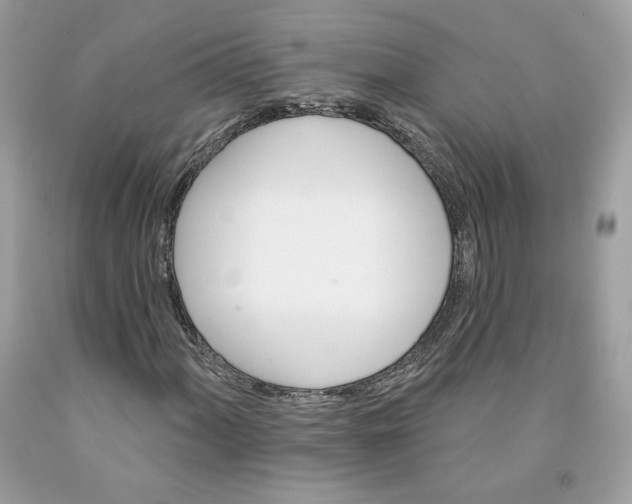 X0000091581060200709101014