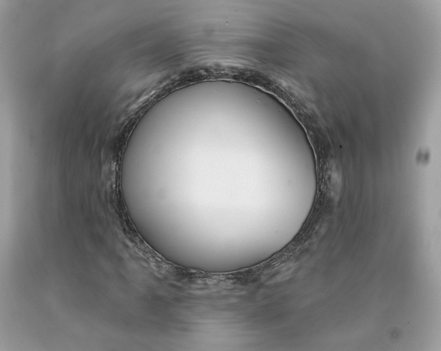 X0000091581061200709101014