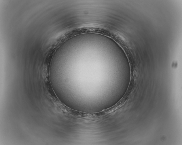 X0000091581062200709101014