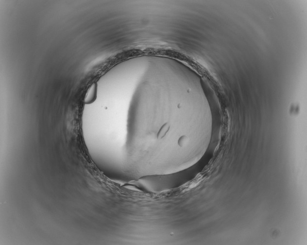 X0000091581063200709101014