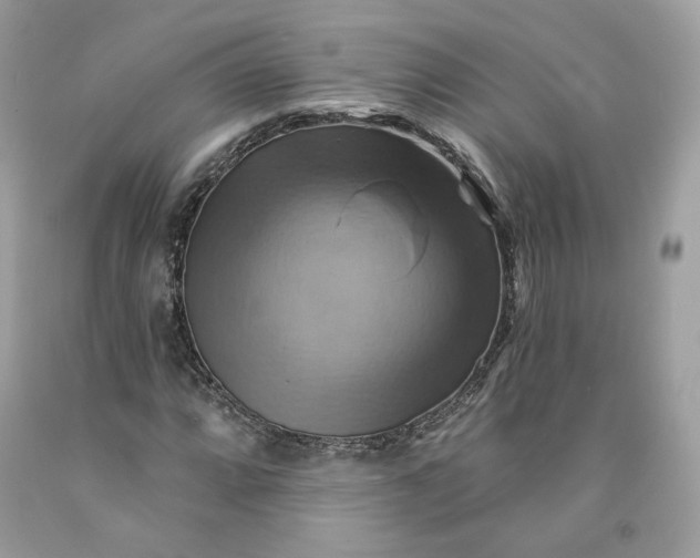 X0000091581064200709101014