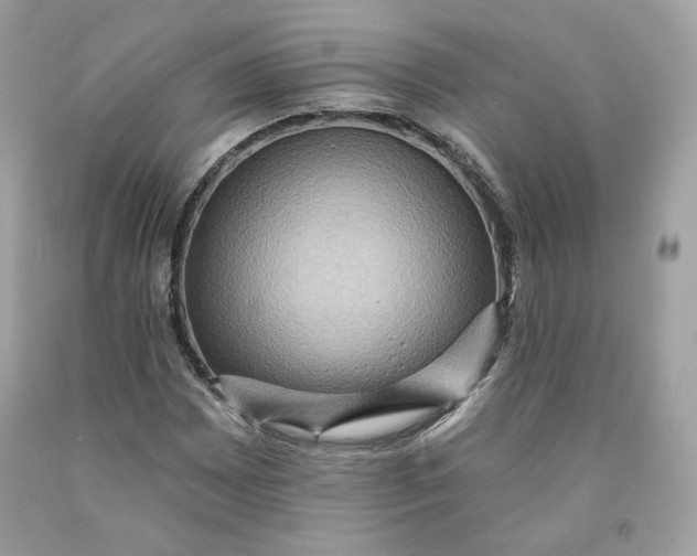 X0000091581065200709101013