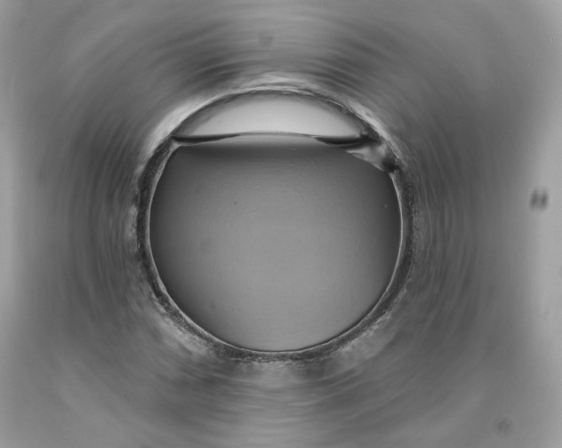 X0000091581066200709101013