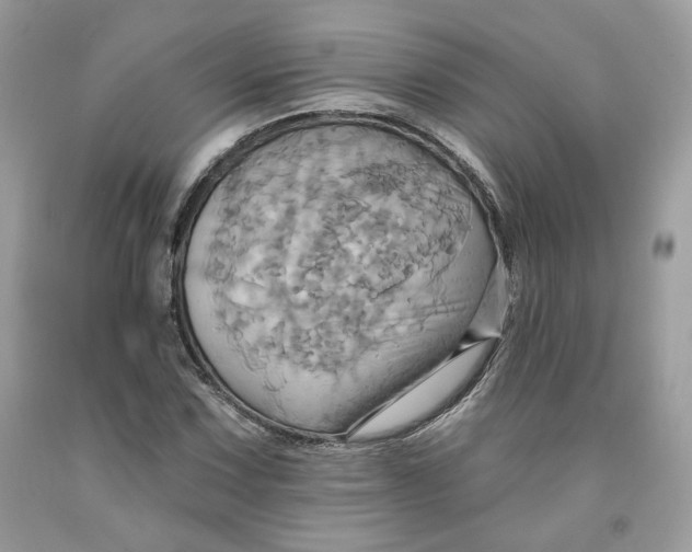 X0000091581067200709101013