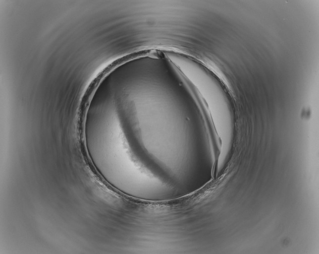 X0000091581068200709101013