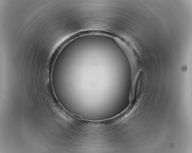 X0000091581069200709101013