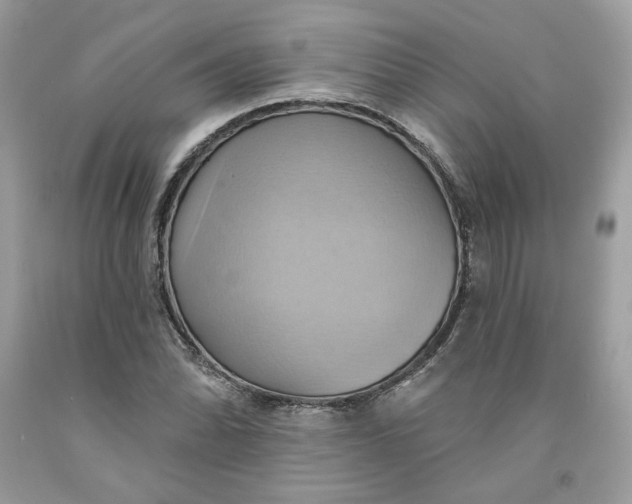 X0000091581070200709101013