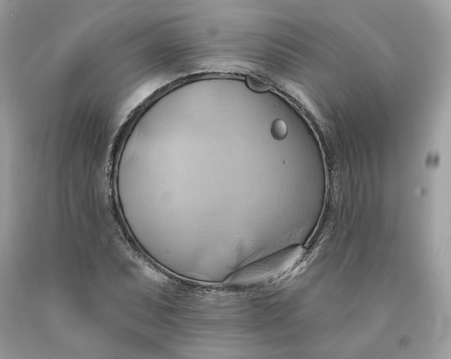 X0000091581071200709101013