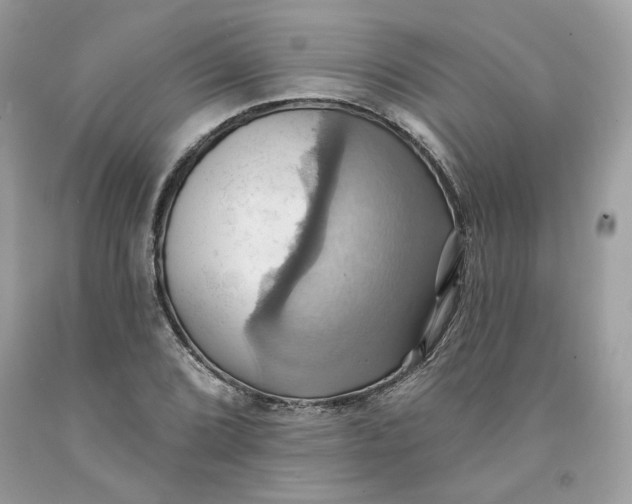 X0000091581072200709101013