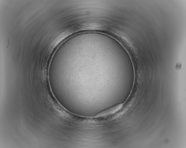 X0000091581073200709101013