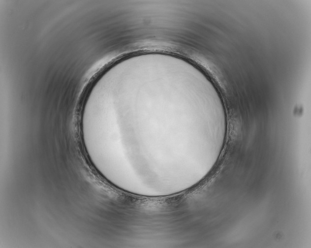 X0000091581074200709101013