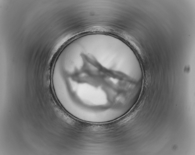 X0000091581075200709101013