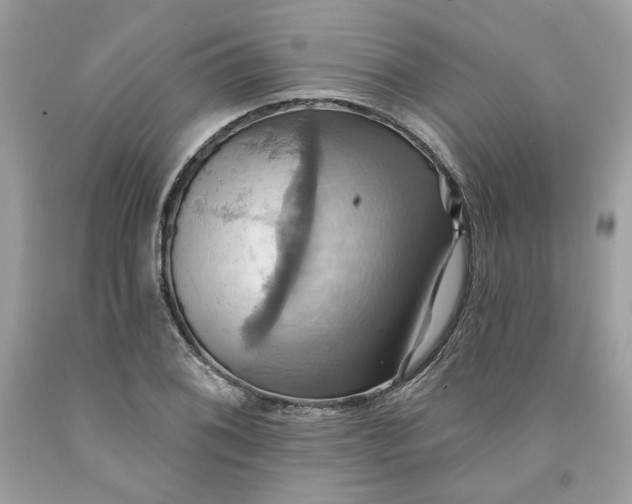 X0000091581076200709101013