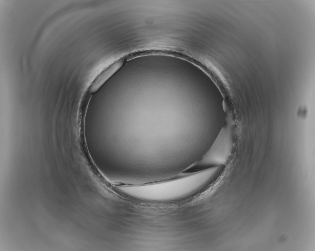 X0000091581077200709101013