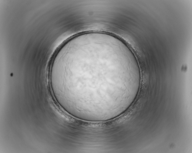 X0000091581078200709101013