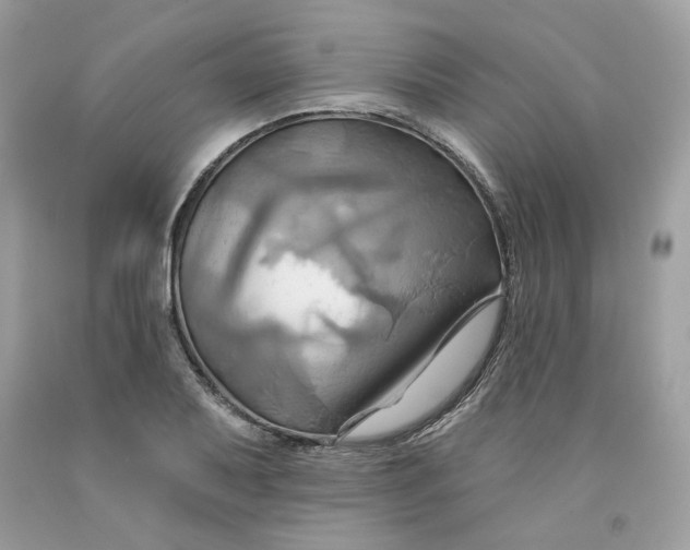 X0000091581079200709101013