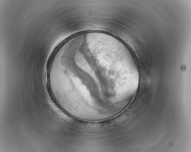 X0000091581080200709101013