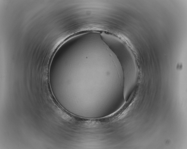 X0000091581081200709101013