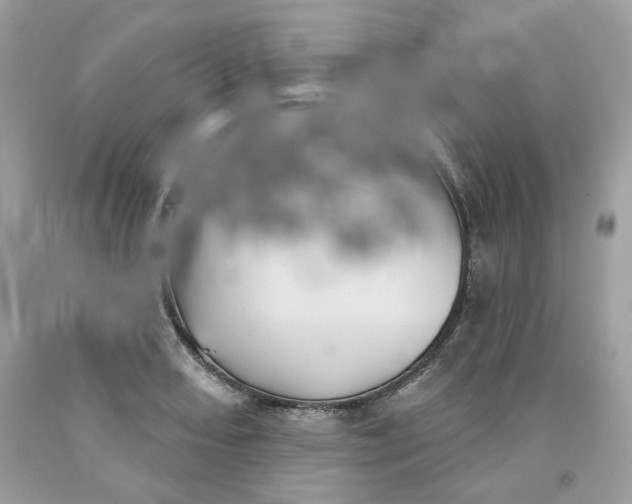 X0000091581082200709101013