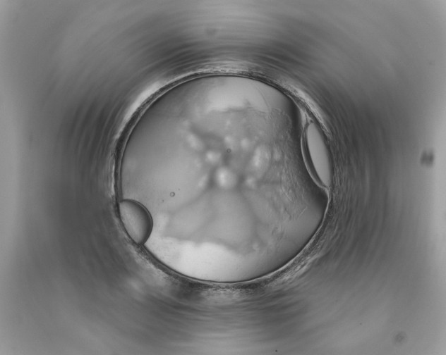 X0000091581083200709101013