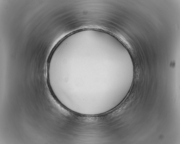 X0000091581084200709101013