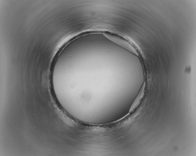 X0000091581085200709101013