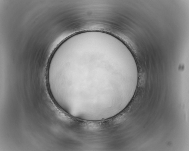 X0000091581086200709101013