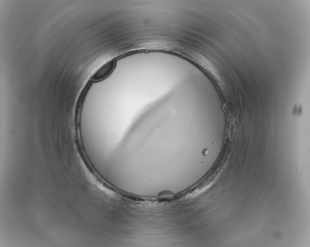 X0000091581087200709101013