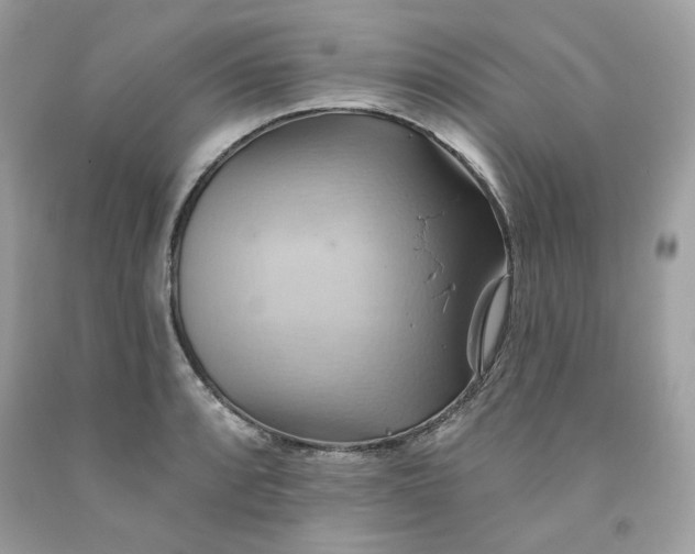 X0000091581088200709101013