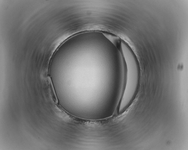 X0000091581089200709101013