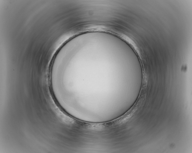 X0000091581090200709101013