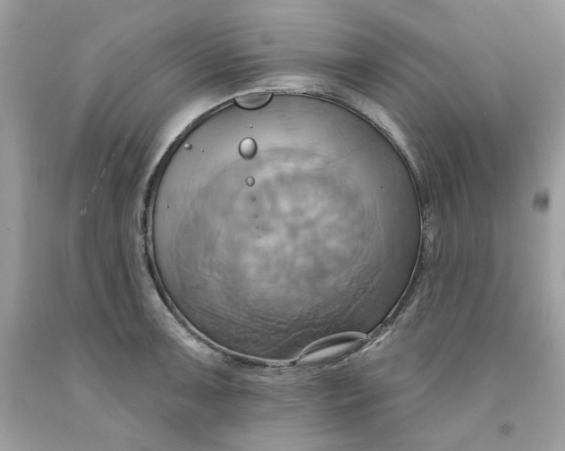 X0000091581091200709101013