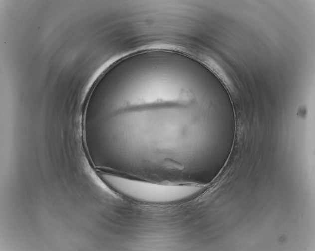 X0000091581092200709101013