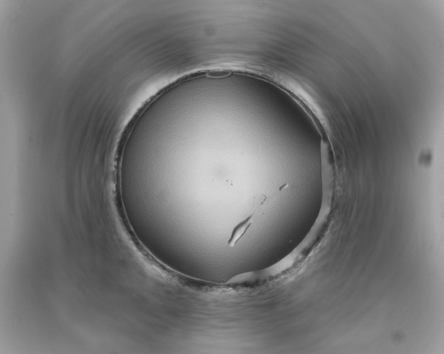 X0000091581093200709101013