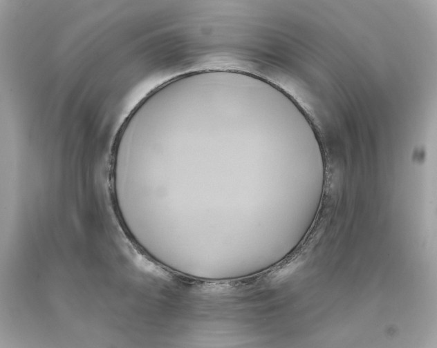 X0000091581094200709101013