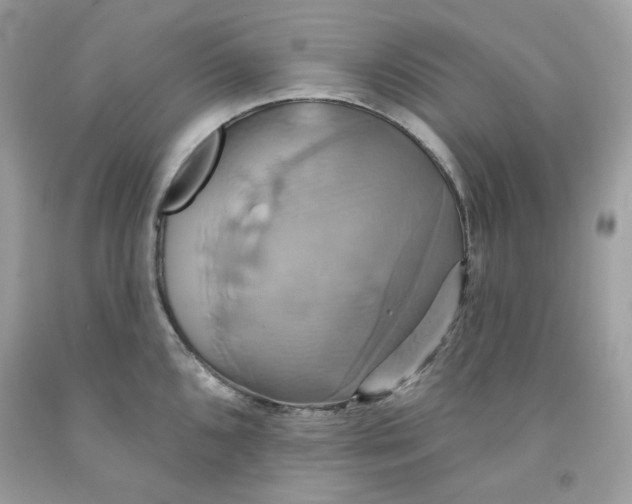 X0000091581096200709101013