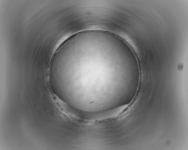 X0000091581097200709101013