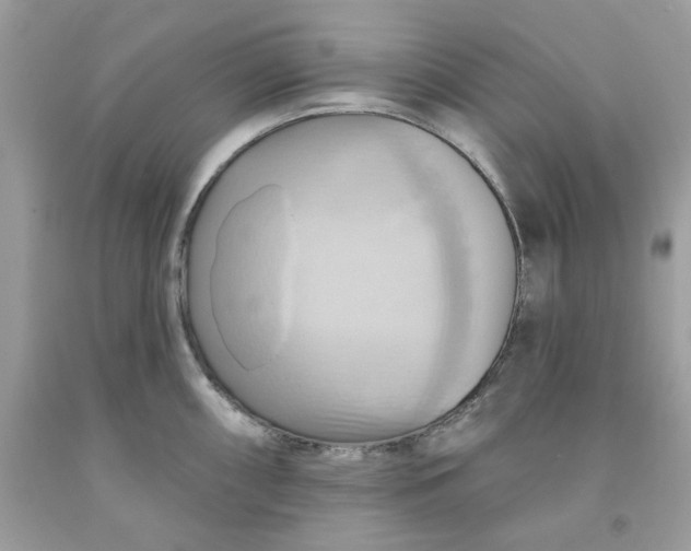 X0000091581098200709101013