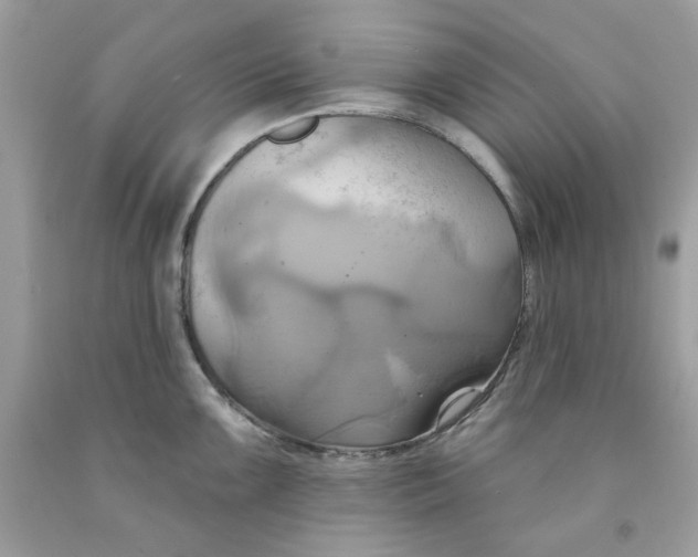 X0000091581099200709101013