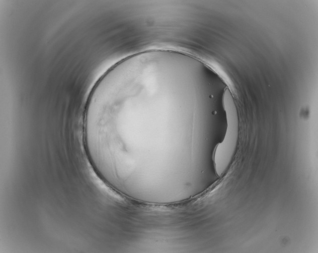 X0000091581100200709101013