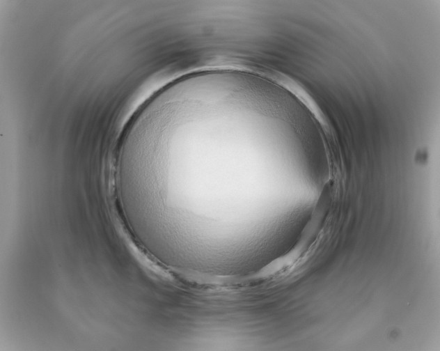 X0000091581101200709101013