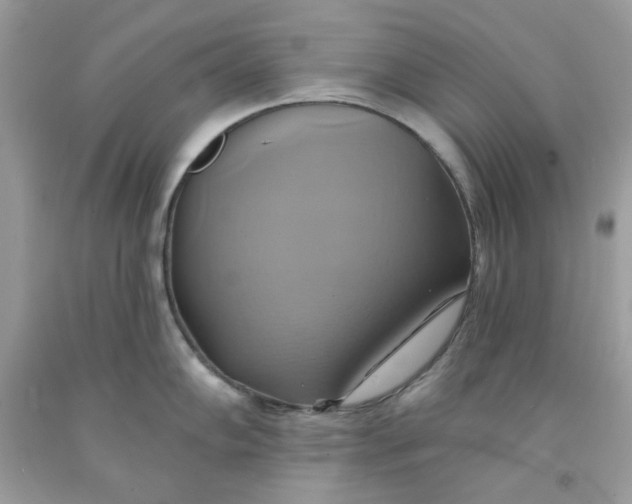 X0000091581102200709101013