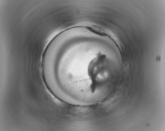 X0000091581103200709101013