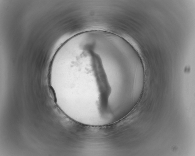 X0000091581104200709101013